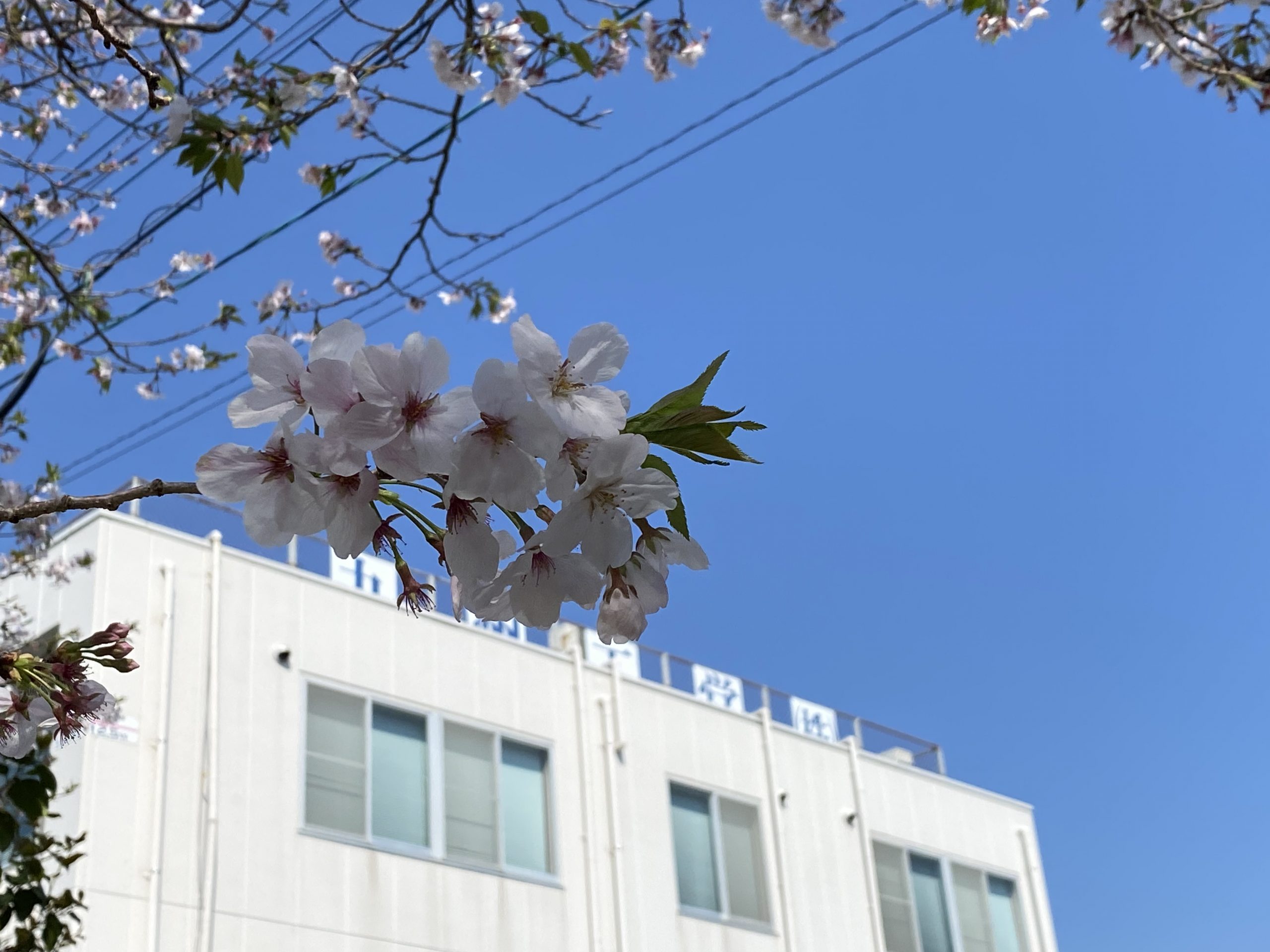 令和５年度　始動！